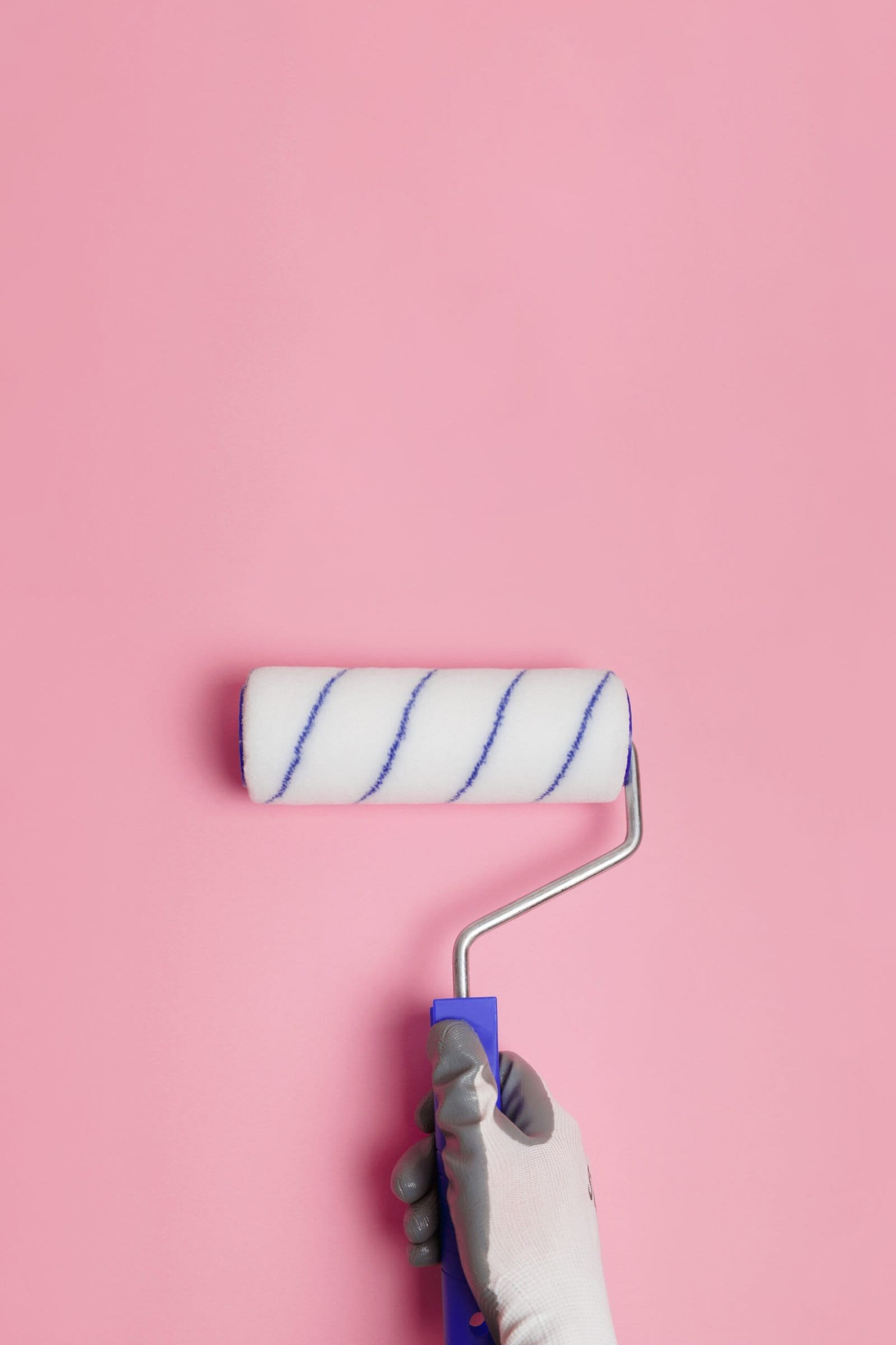 Paint roller in gloved hand on pink background Paint roller in gloved hand on pink background.